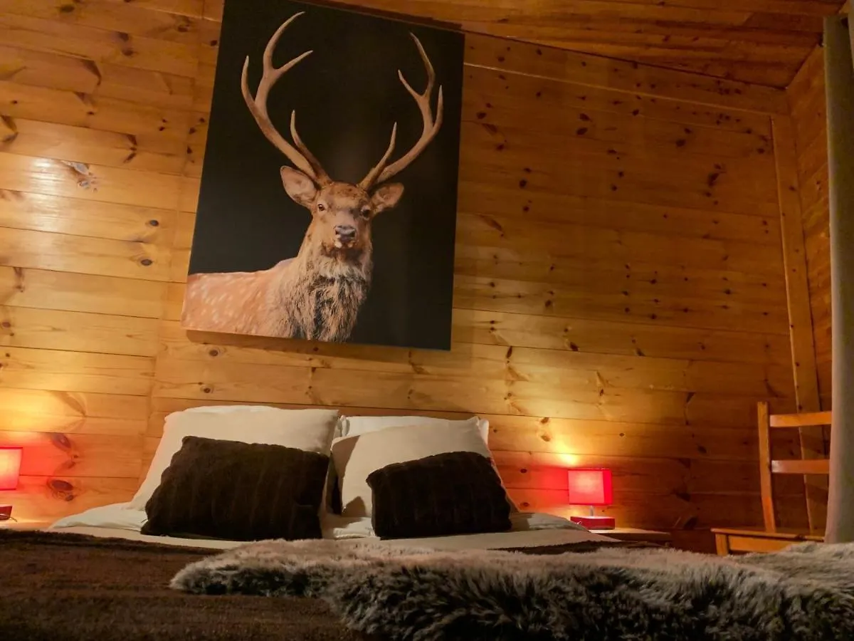 Chalet Martine Alpe d'Huez Francia